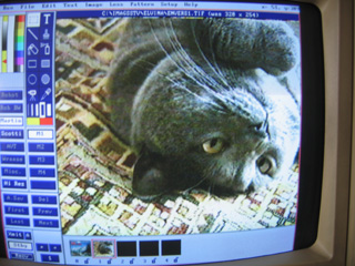 IMAGES SSTV REçue