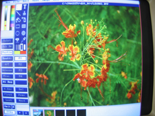 IMAGES SSTV REçue