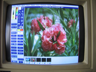 IMAGES SSTV REçue