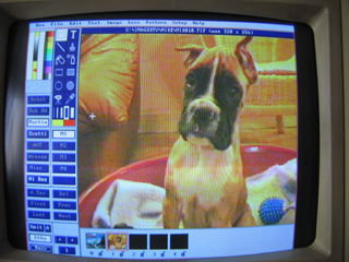 IMAGES SSTV REçue