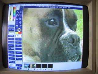 IMAGES SSTV REçue