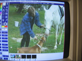 IMAGES SSTV REçue