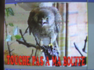 IMAGES SSTV REçue