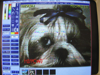 IMAGES SSTV REçue