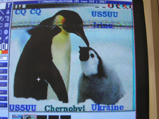 IMAGES SSTV REçue