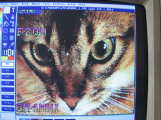 IMAGES SSTV REçue